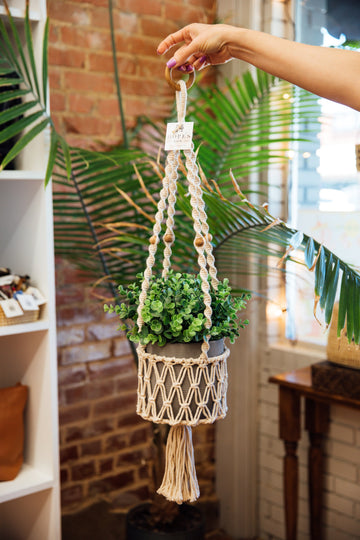 Macram¨¦ Plant Hanger