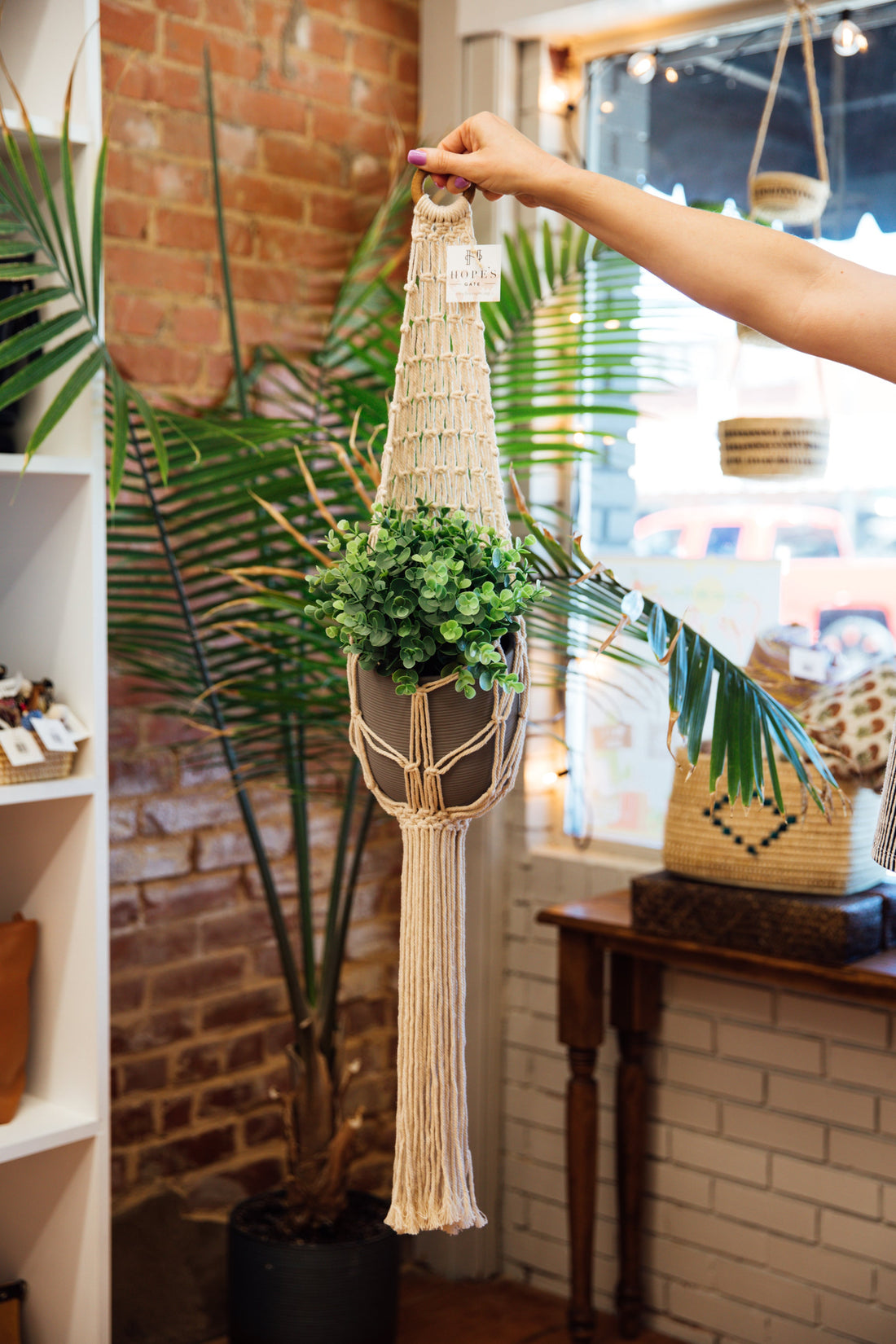 Macram¨¦ Plant Hanger