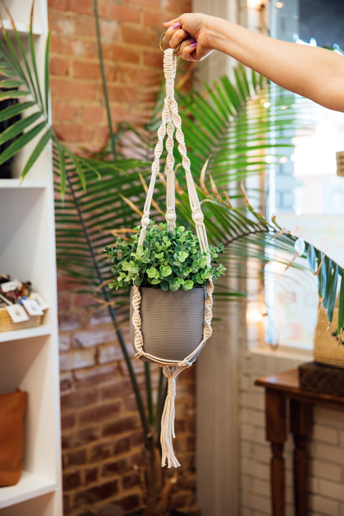 Macram¨¦ Plant Hanger