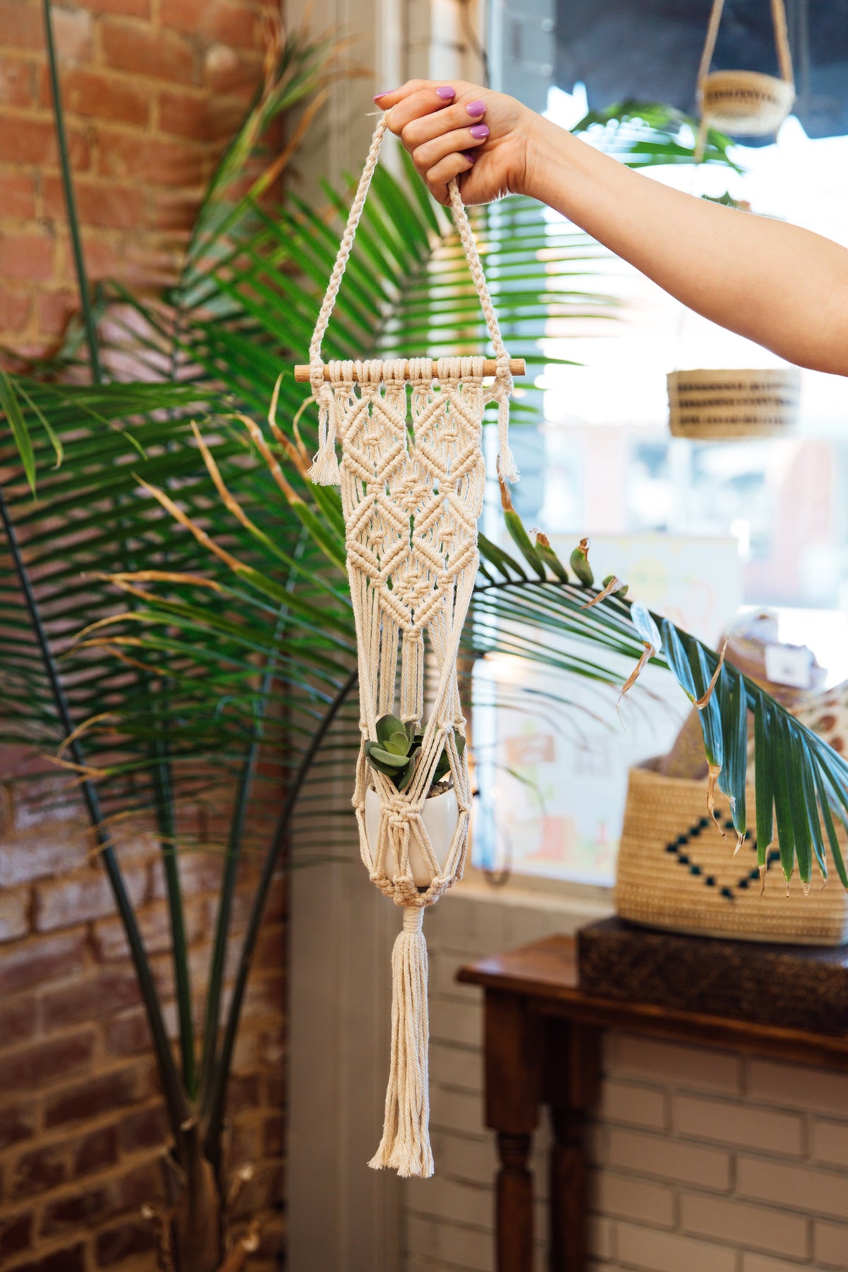 Macram¨¦ Plant Hanger